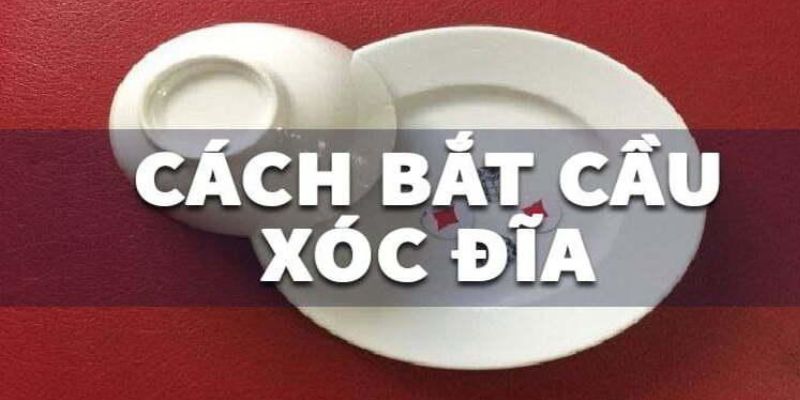 Một số bước cơ bản để có cách bắt cầu xóc đĩa hiệu quả 